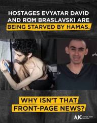 To say all pro-Palestinians should watch Fauda on Netflix?