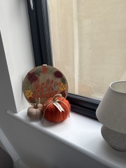 AIBU to put out my autumn decorations now?