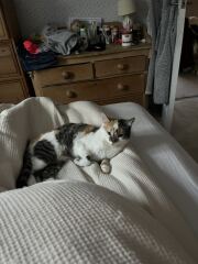 3 most recent photos