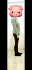 Is there a change in size or shape in theses photos?
