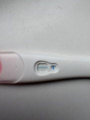 15dpo and i feel like my line looks too light?