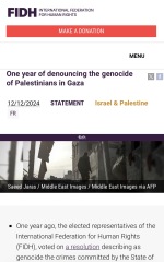 To say all pro-Palestinians should watch Fauda on Netflix?