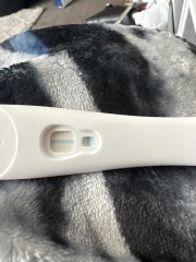 Faint positive then negative test with symptoms at 31 days