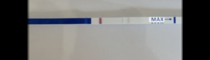 Pregnancy test