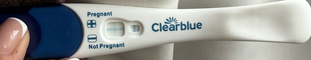 Early pregnancy