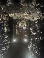 The Bluestocking, a unique location for daughters and sisters of earth, frost, feathers, fur, scales and spines