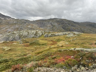 The Bluestocking, a unique location for daughters and sisters of earth, frost, feathers, fur, scales and spines