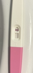positive test or evap ?