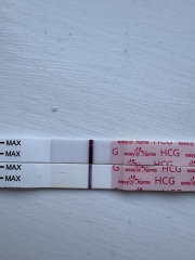 Could these faint pregnancy test lines be indents or a faulty batch?