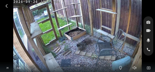 Catio company recommendations?