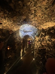 The Bluestocking, a unique location for daughters and sisters of earth, frost, feathers, fur, scales and spines