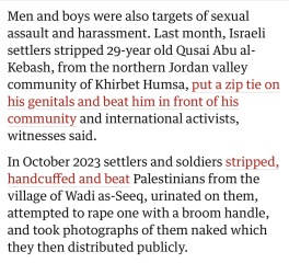 To say all pro-Palestinians should watch Fauda on Netflix?