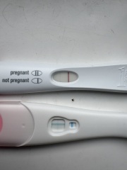 15dpo and i feel like my line looks too light?