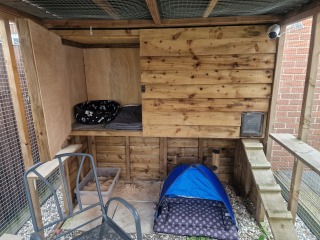 Catio company recommendations?