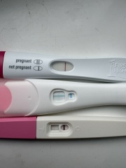 15dpo and i feel like my line looks too light?