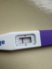 Confusing results from an early pregnancy test and Clearblue follow-up