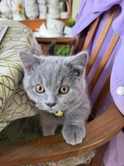 3 most recent photos