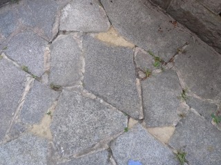 Still struggling with being ripped off by rogue tradesmen, can't concentrate on anything