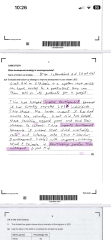 Can you question the 'Review of Marking'?