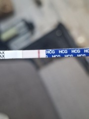 TTC September/October 26