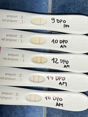 Is this line progression concerning?