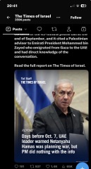 To say all pro-Palestinians should watch Fauda on Netflix?