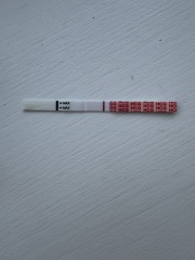 Can anyone see a faint positive line on this test?