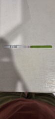 TTC September/October 26