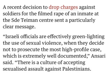 To say all pro-Palestinians should watch Fauda on Netflix?