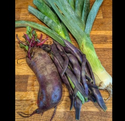 2026 Allotmenteers - have we lost the plot?!