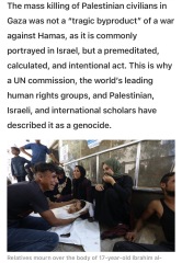 To say all pro-Palestinians should watch Fauda on Netflix?