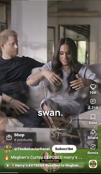 Harry & Meghan - what does the future hold?