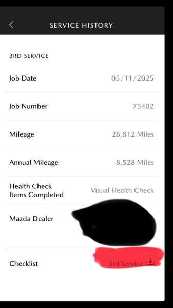 What kind of car service history can I expect nowadays?