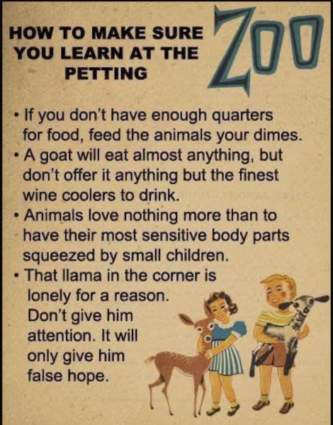 Adults at petting zoos/farms/kids days out