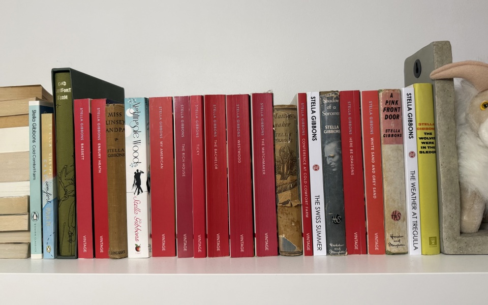 My year with Stella...