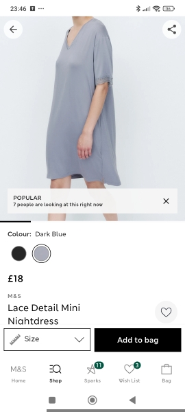 Nightie? Nightshirt? What do I want?