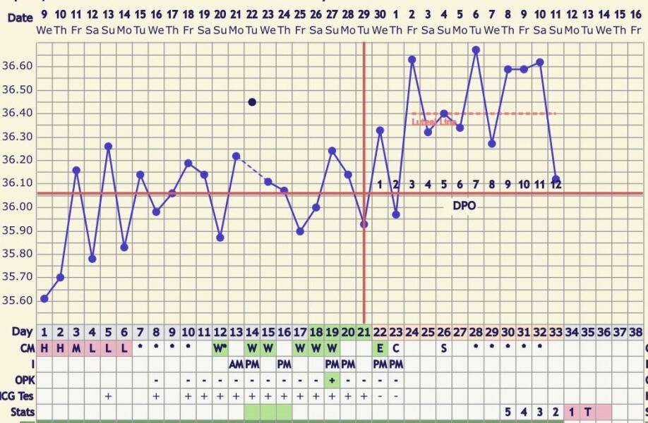 Early loss / MMC TTC support - the club nobody wanted to join 💔🌈