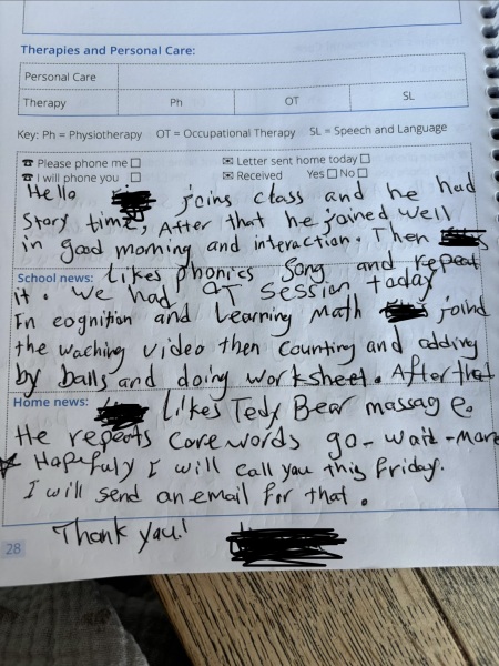 SEND education issue for non-verbal child - standard of English in the classroom.