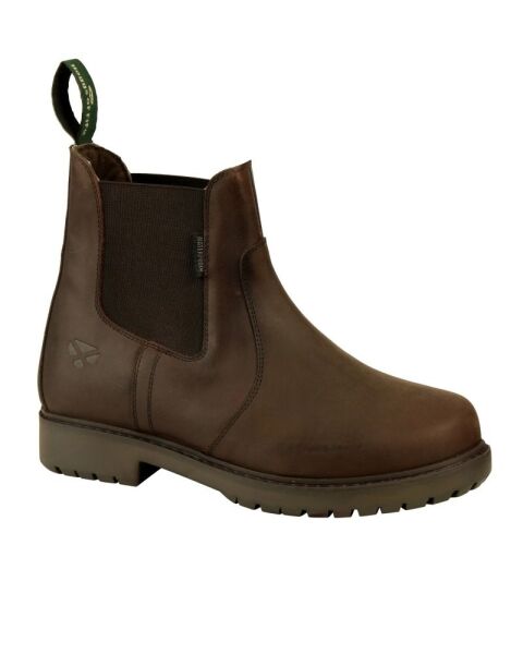 Dog walking shoes