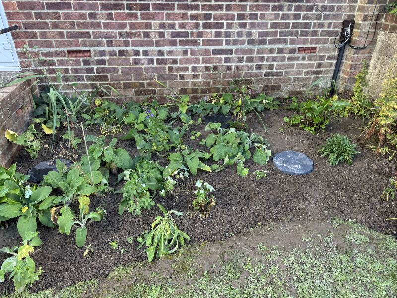 Where to Put Stepping Stones
