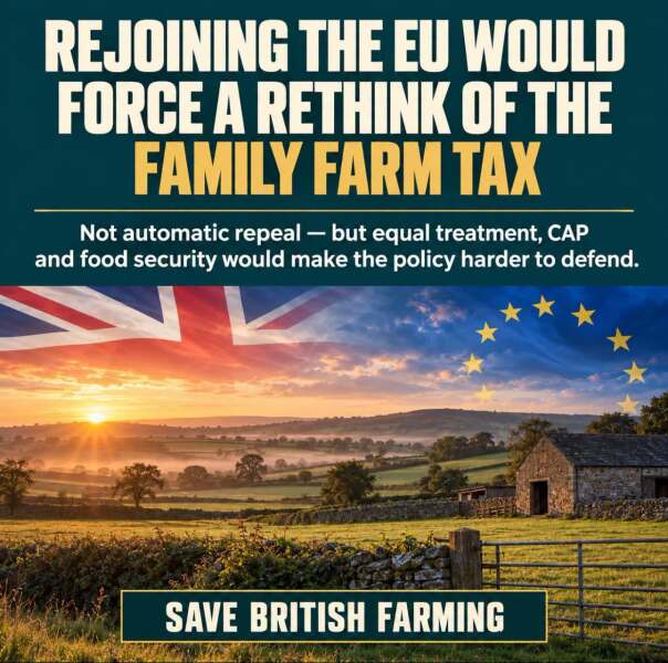 Would Labour voters be upset if joining the EU meant they could no longer tax children’s education?