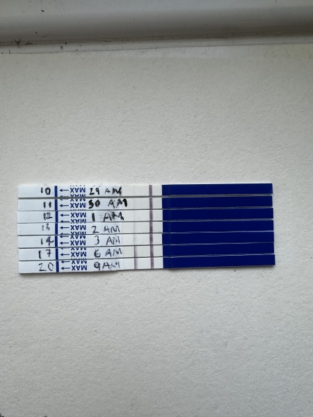 Pregnancy test line progression from 13dpo to 23dpo