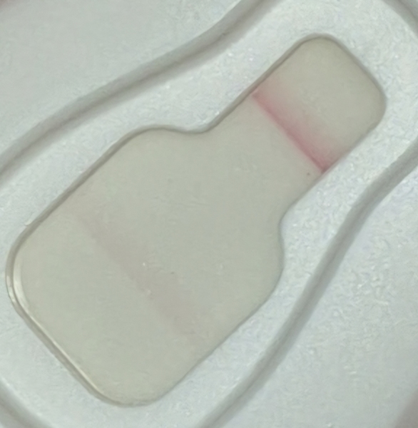 Faint line on a test