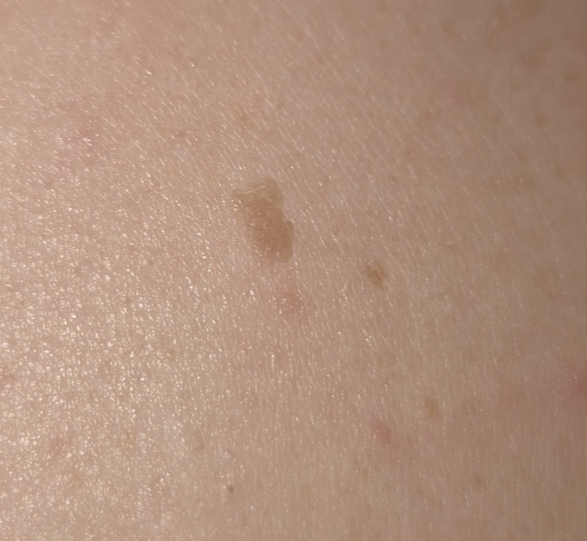 Does anyone know what this could be?
