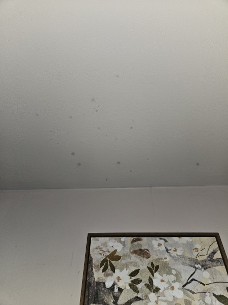 Washable paint vs regular matt?