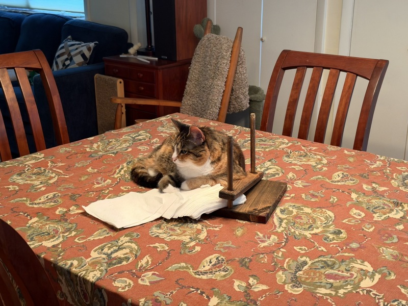 Come and tell us your dull and unexciting news 36: Calmly through the day