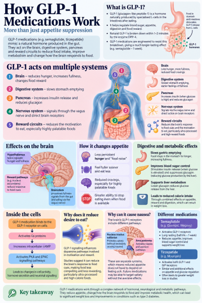 Is being Obese an illness?