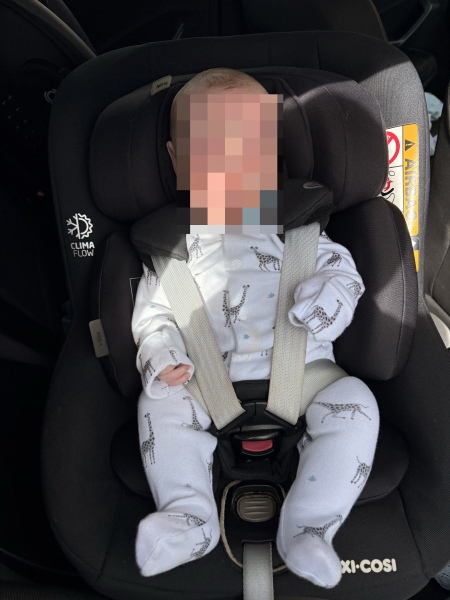 Car seat straps - help