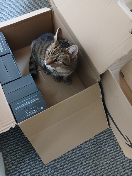 Rodents and Risk Assessments - the Excellent Cats applaud Gizmo's recent achievements