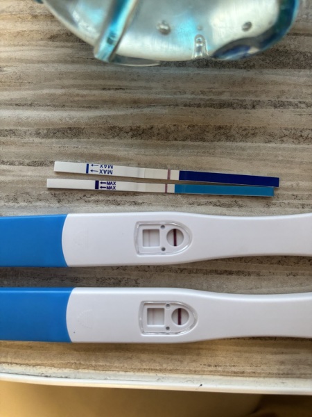 11-12DPO